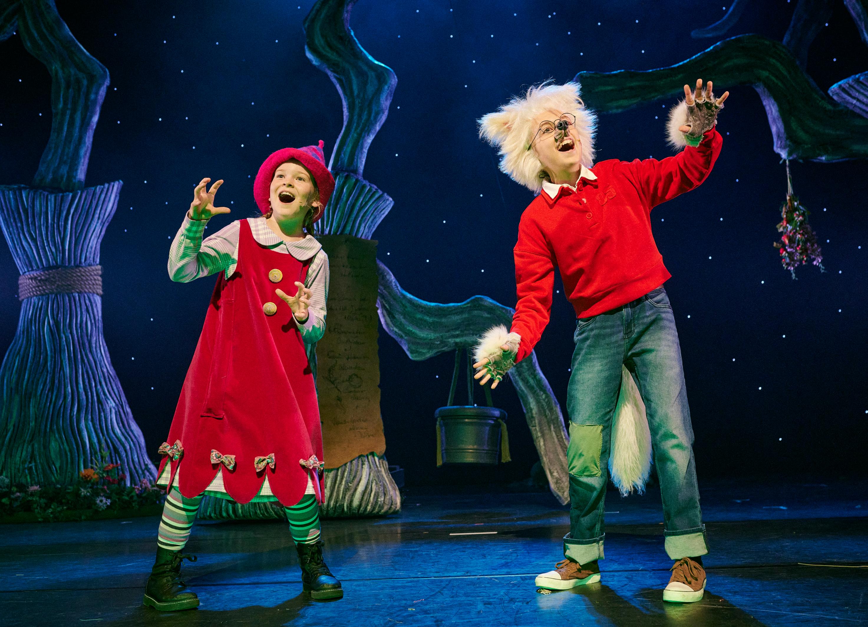 WEB Dolfjeweerwolfjefoeksiademiniheks31 Zaantheater (2) 