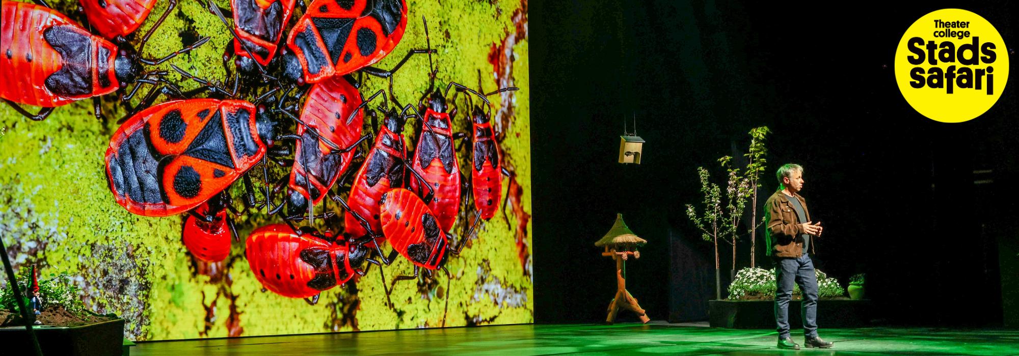 WEB Stadssafari Zaantheater 