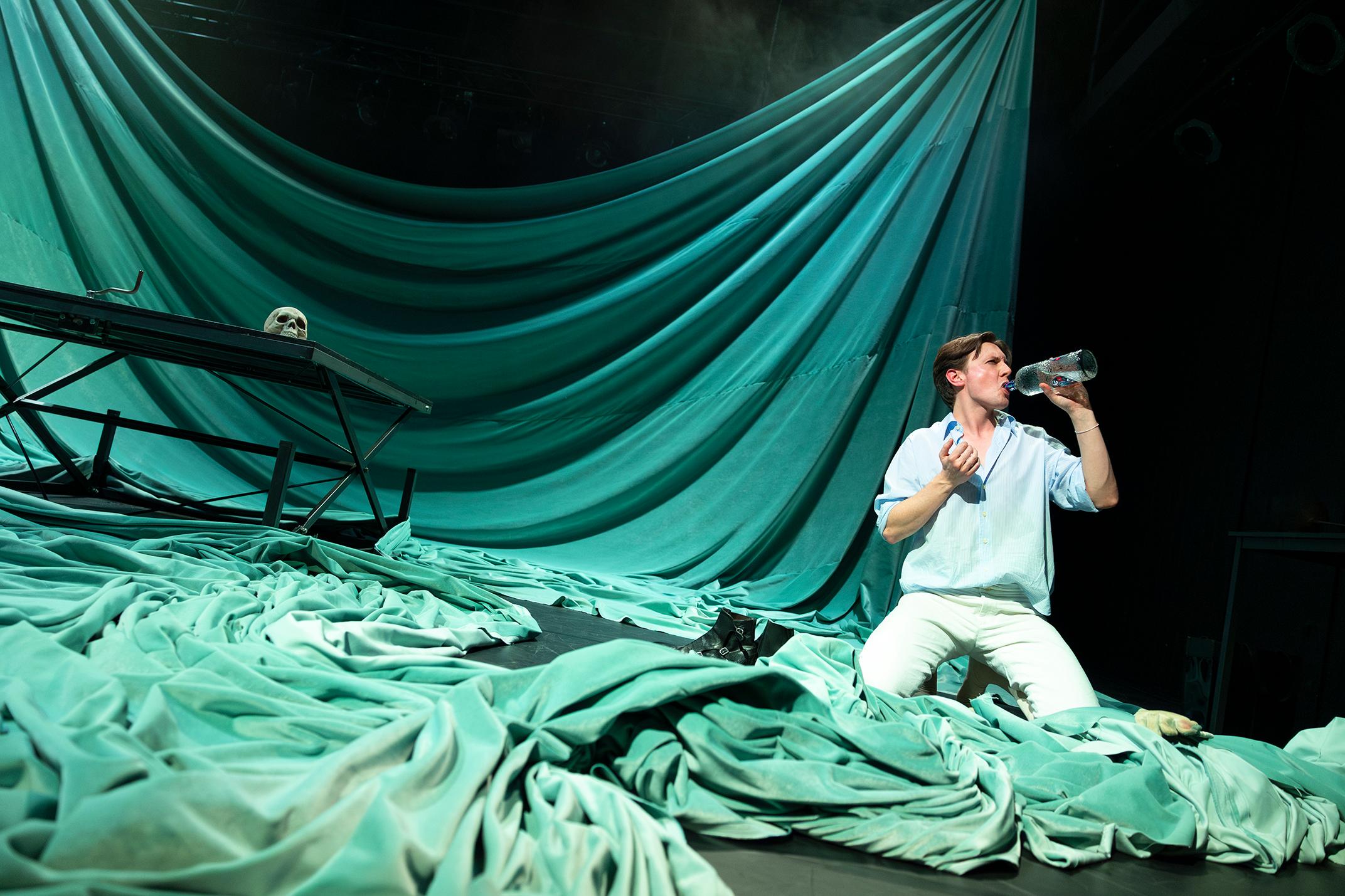 WEB The Actor (C)Anne Van Zantwijk 8619 (1)