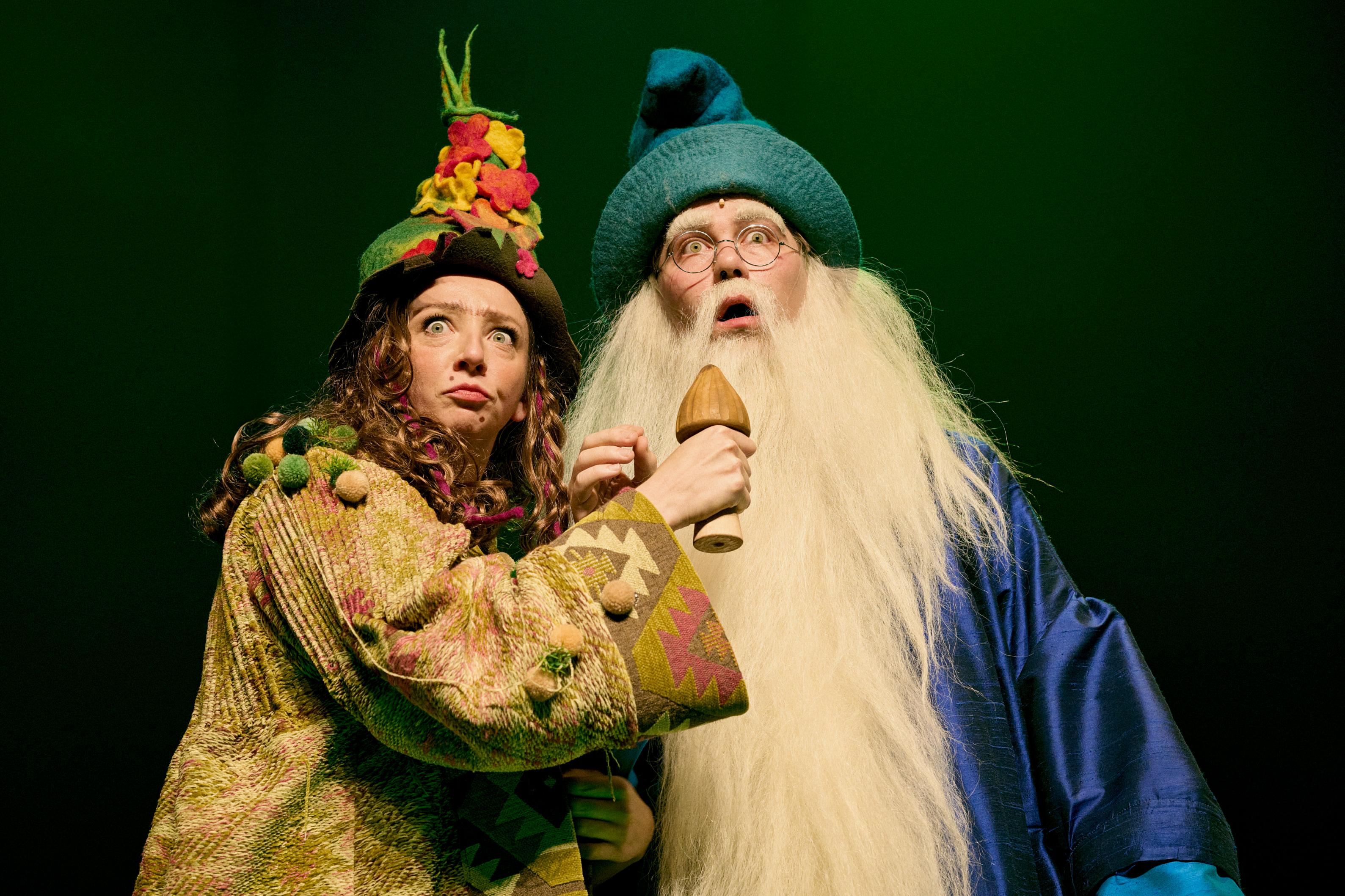 WEB Dolfjeweerwolfjefoeksiademiniheks31 Zaantheater (1)