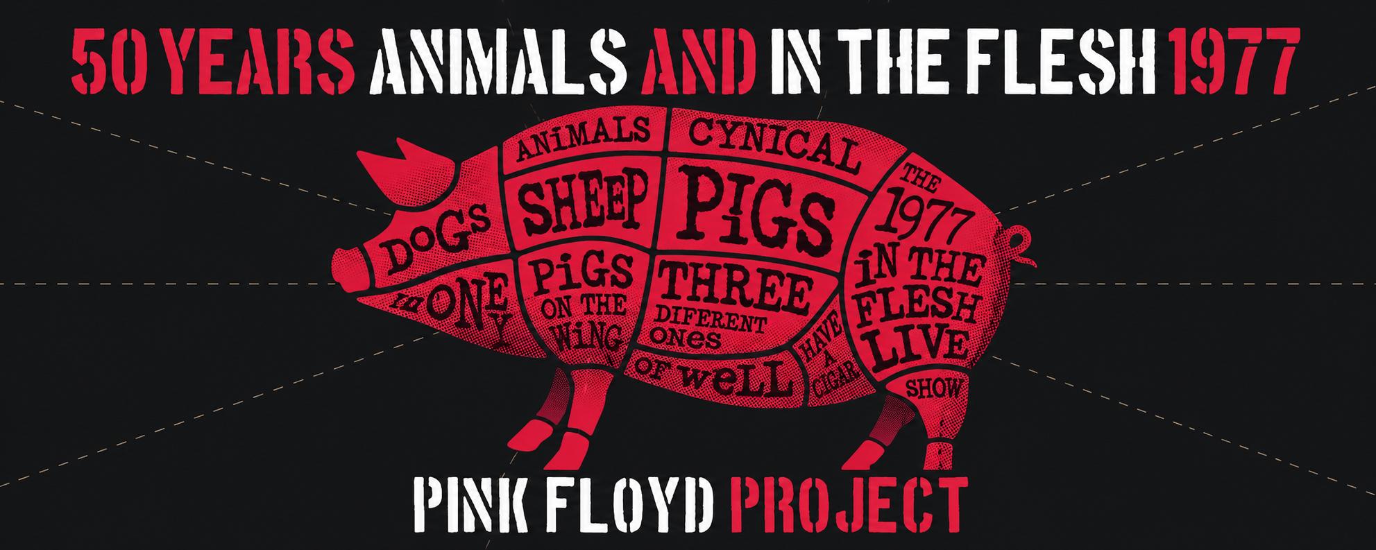 WEB Pink Floyd Project 50 Years Of Animals & In The Flesh 1977 Zaantheater