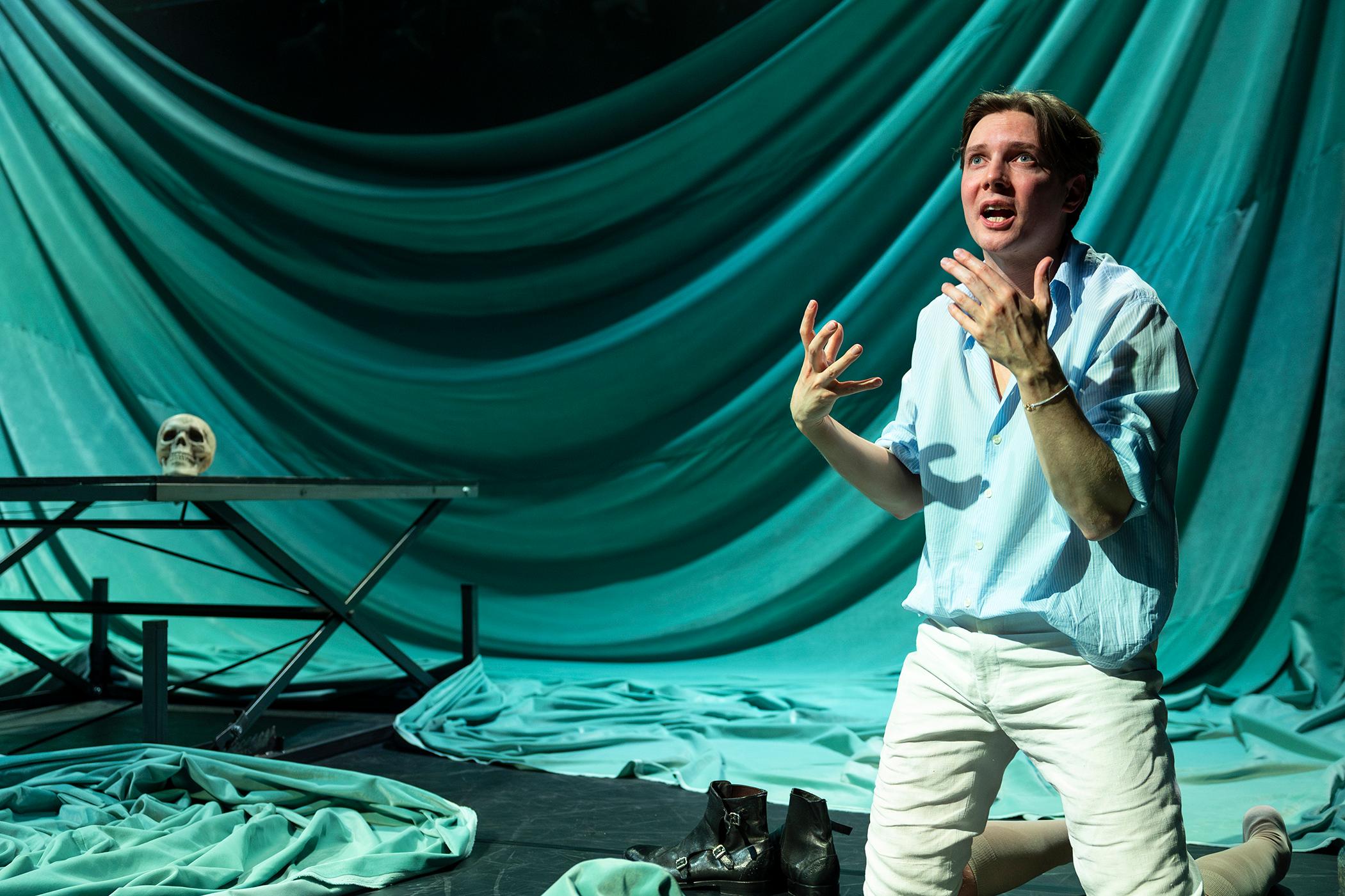 WEB The Actor (C)Anne Van Zantwijk 8619 (2)