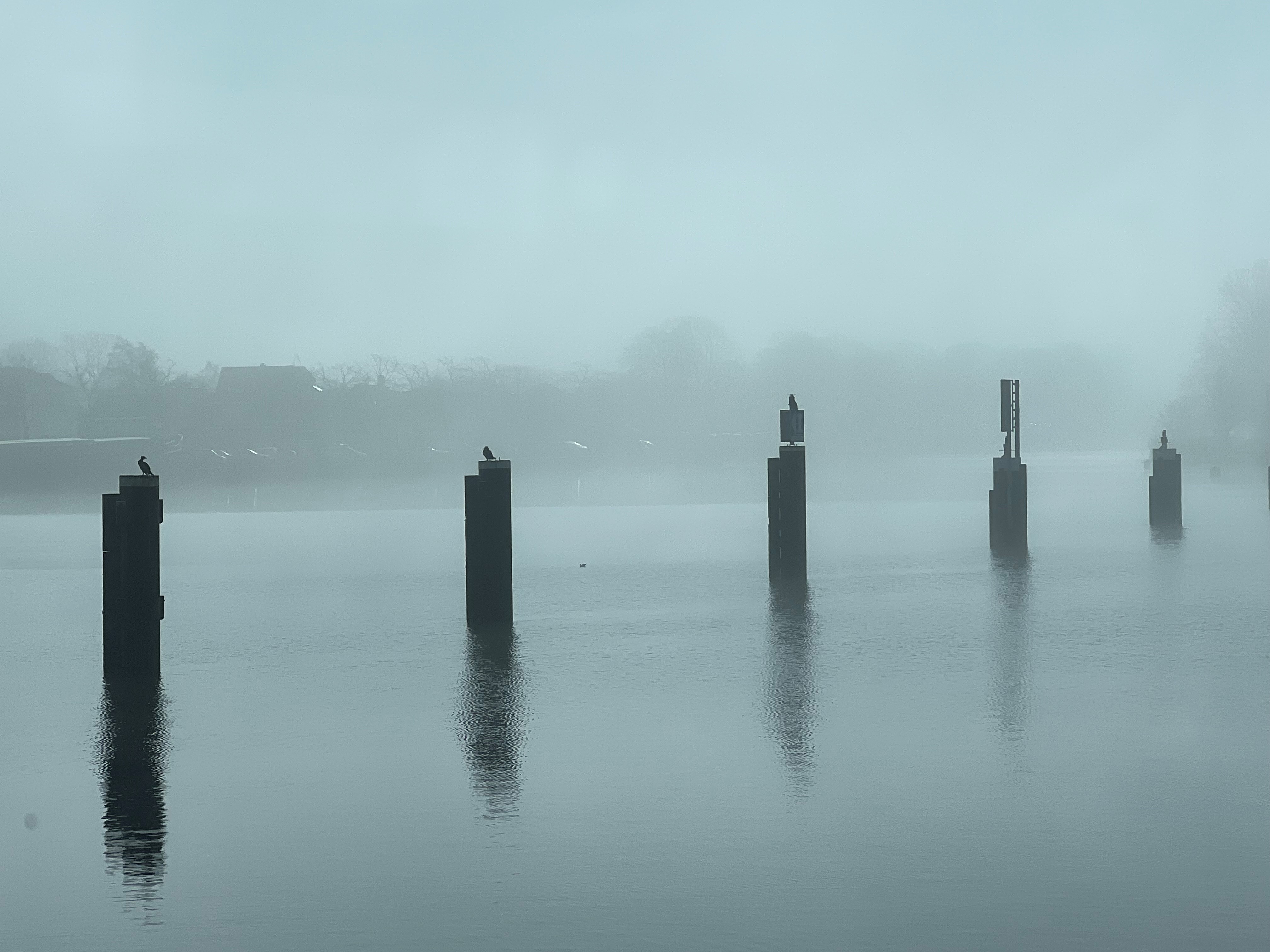 Foto Van De Zaan + Meeuwen
